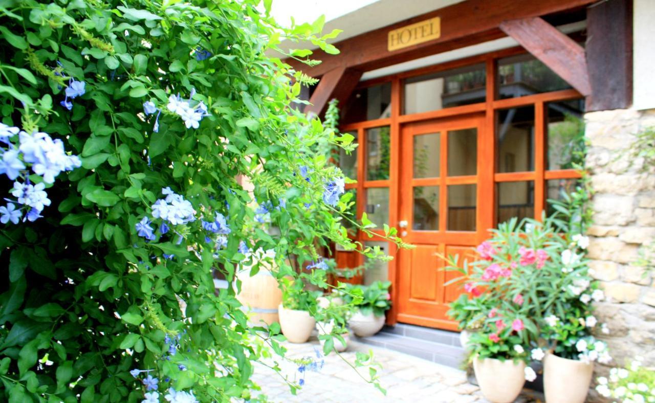 D & S Hotel & Ferienwohnungen Besigheim Exteriör bild