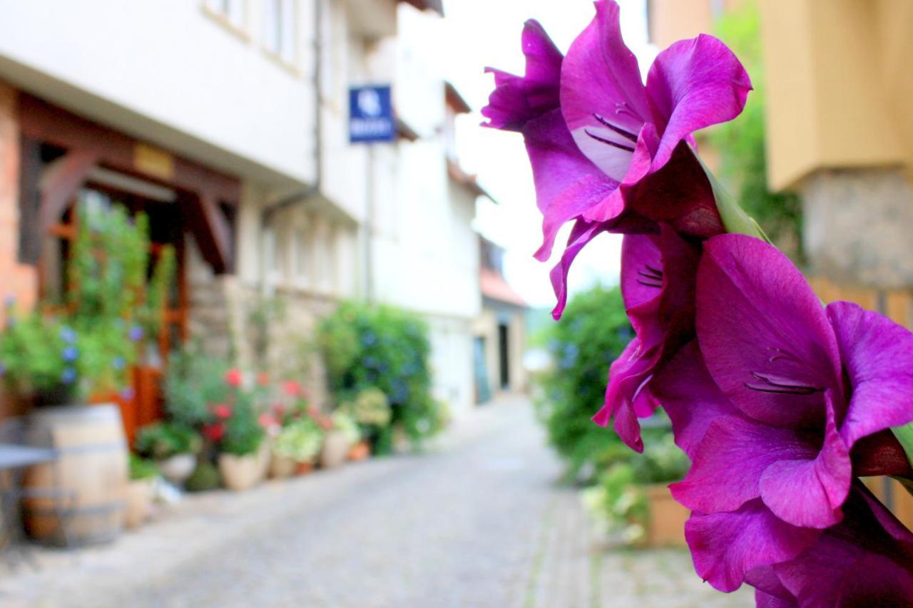 D & S Hotel & Ferienwohnungen Besigheim Exteriör bild